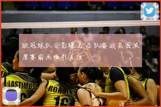 欧冠球队合影曝光 各队备战氛围浓厚赛前画面引关注