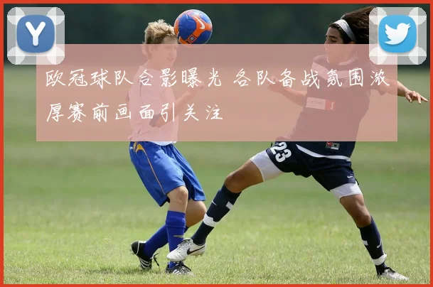 欧冠球队合影曝光 各队备战氛围浓厚赛前画面引关注