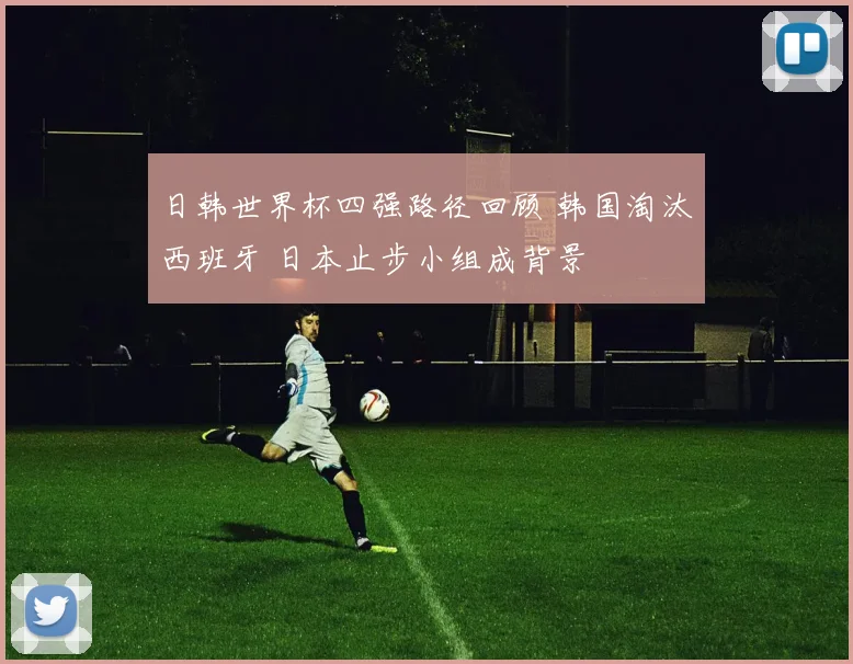 日韩世界杯四强路径回顾 韩国淘汰西班牙 日本止步小组成背景