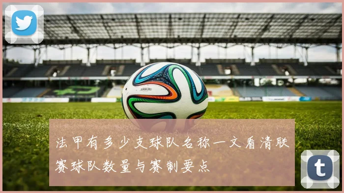 法甲有多少支球队名称一文看清联赛球队数量与赛制要点