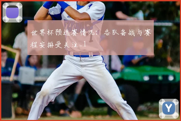 世界杯预选赛情况：各队备战与赛程安排受关注_1