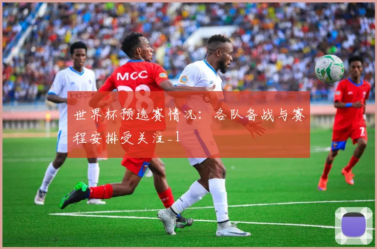 世界杯预选赛情况：各队备战与赛程安排受关注_1