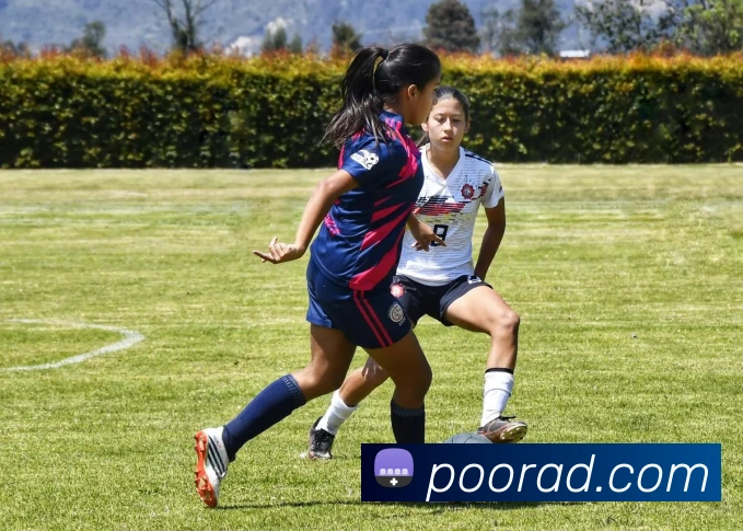 kaiyun官方登录入口APP 高清赛事图